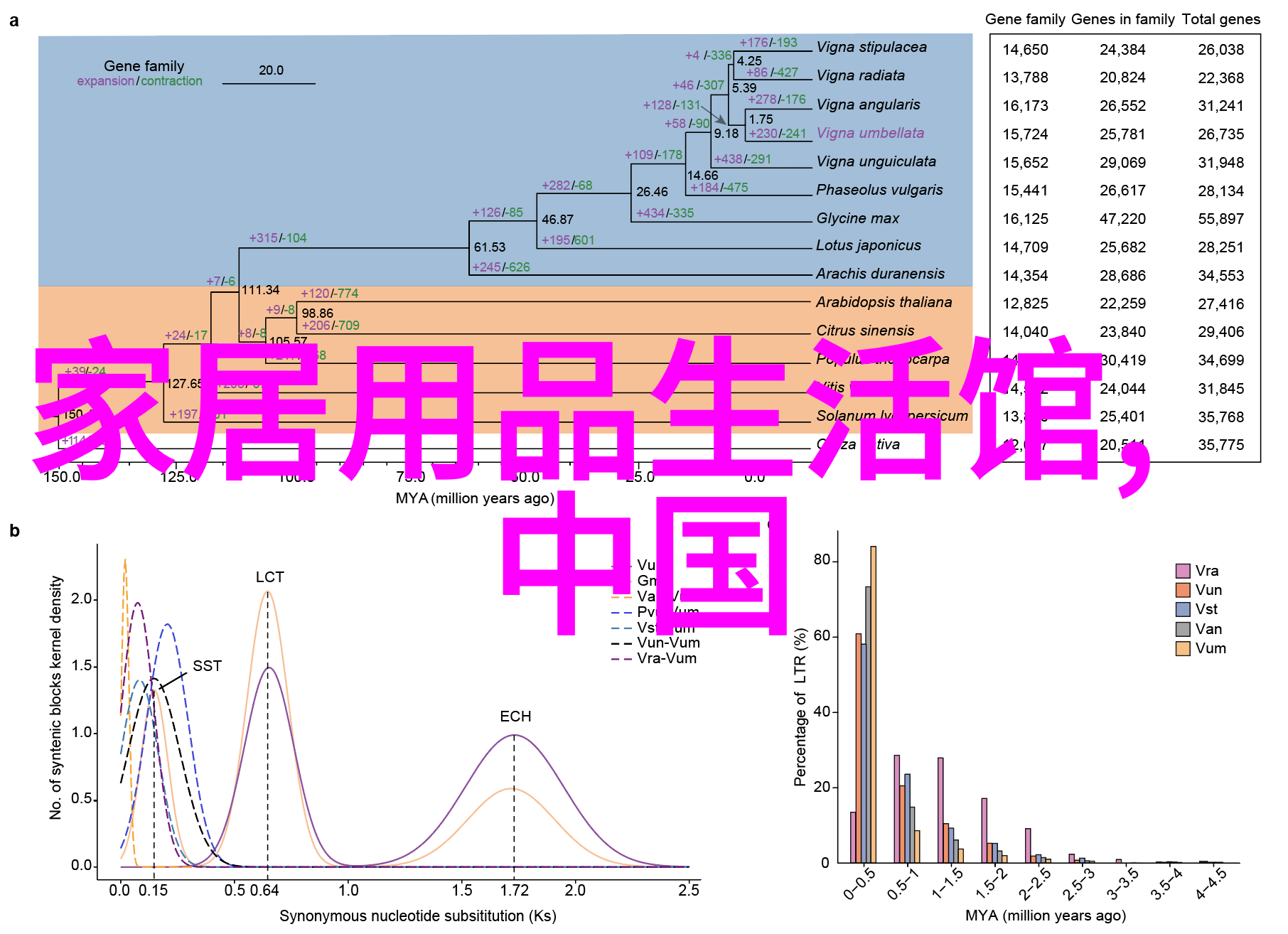 老婆网上淘来的花架隔壁爱花的老李来做客看了爱不释手也要买