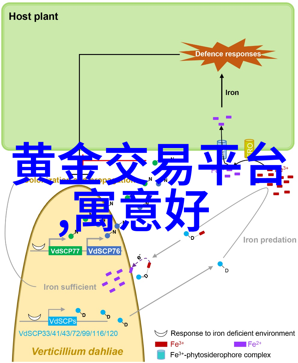 十个关于珠宝的常见问题